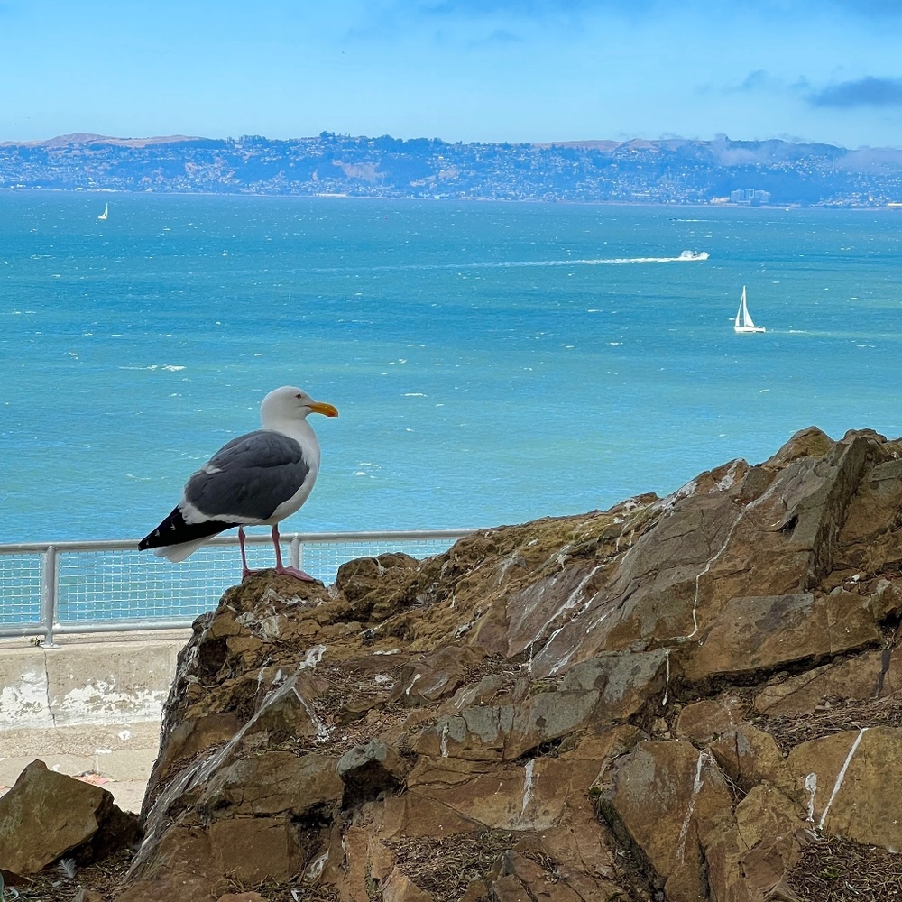 Meet your Posher, Lizbeth